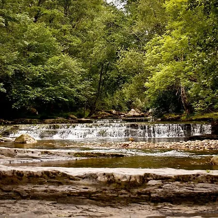 La Casuca De Cecilia Pedreo