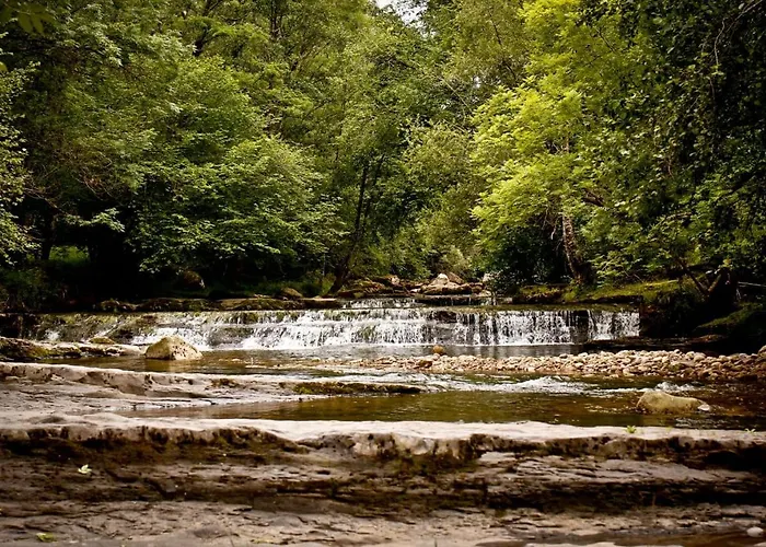 La Casuca De Cecilia Pedreo